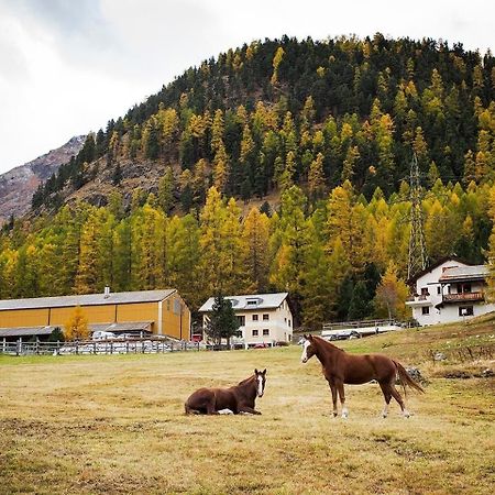 Chesa Formel - Stalla Engiadina Apartment Pontresina Exterior photo