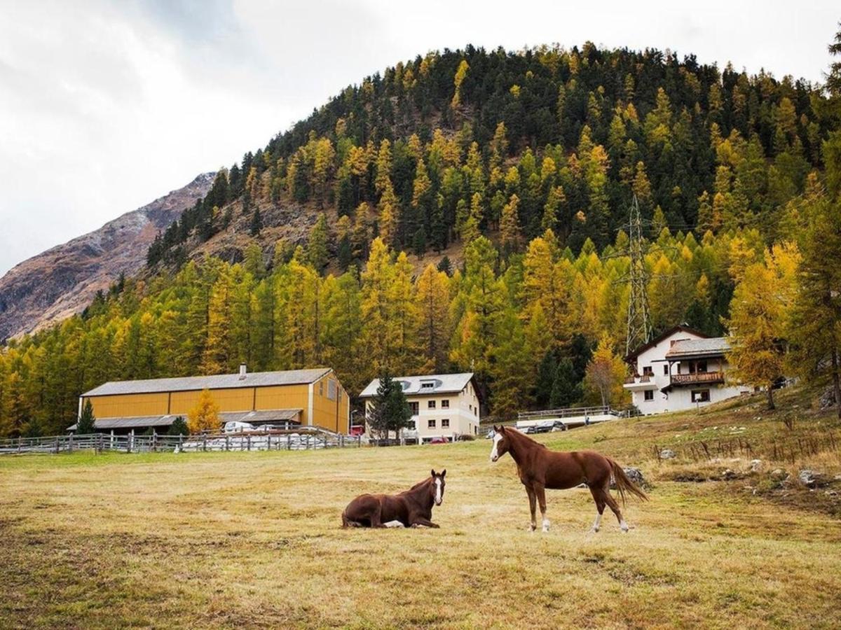 Chesa Formel - Stalla Engiadina Apartment Pontresina Exterior photo