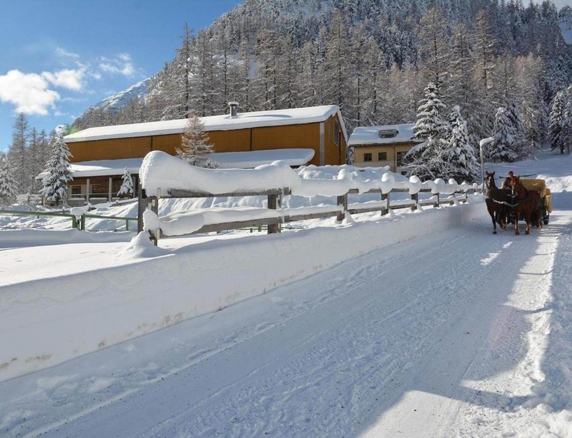 Chesa Formel - Stalla Engiadina Apartment Pontresina Exterior photo